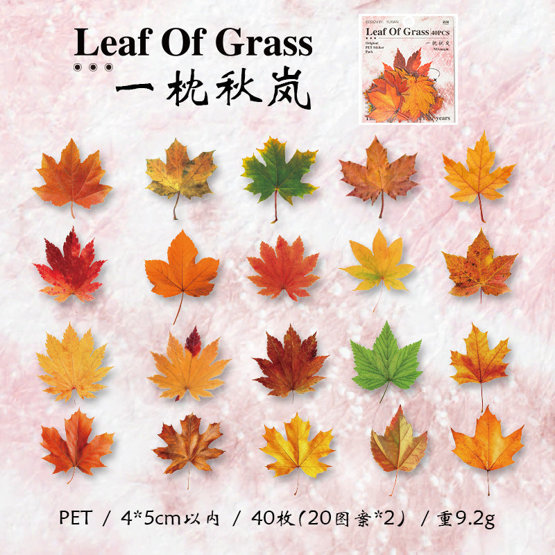 PET Leaf Sticker Pack - 40 Pcs - ViktaShop