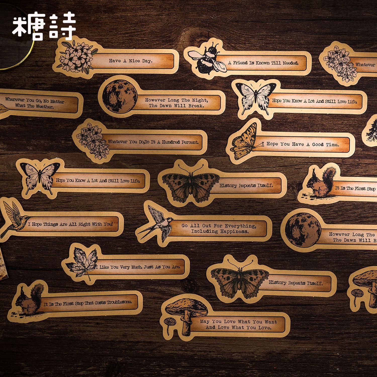 Retro English Sticker Pack - Time Series, 6 Options - ViktaShop