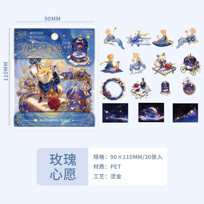 PET Prince Sticker Pack – Galaxy Letter & Landscape Style, 30 Pcs - ViktaShop