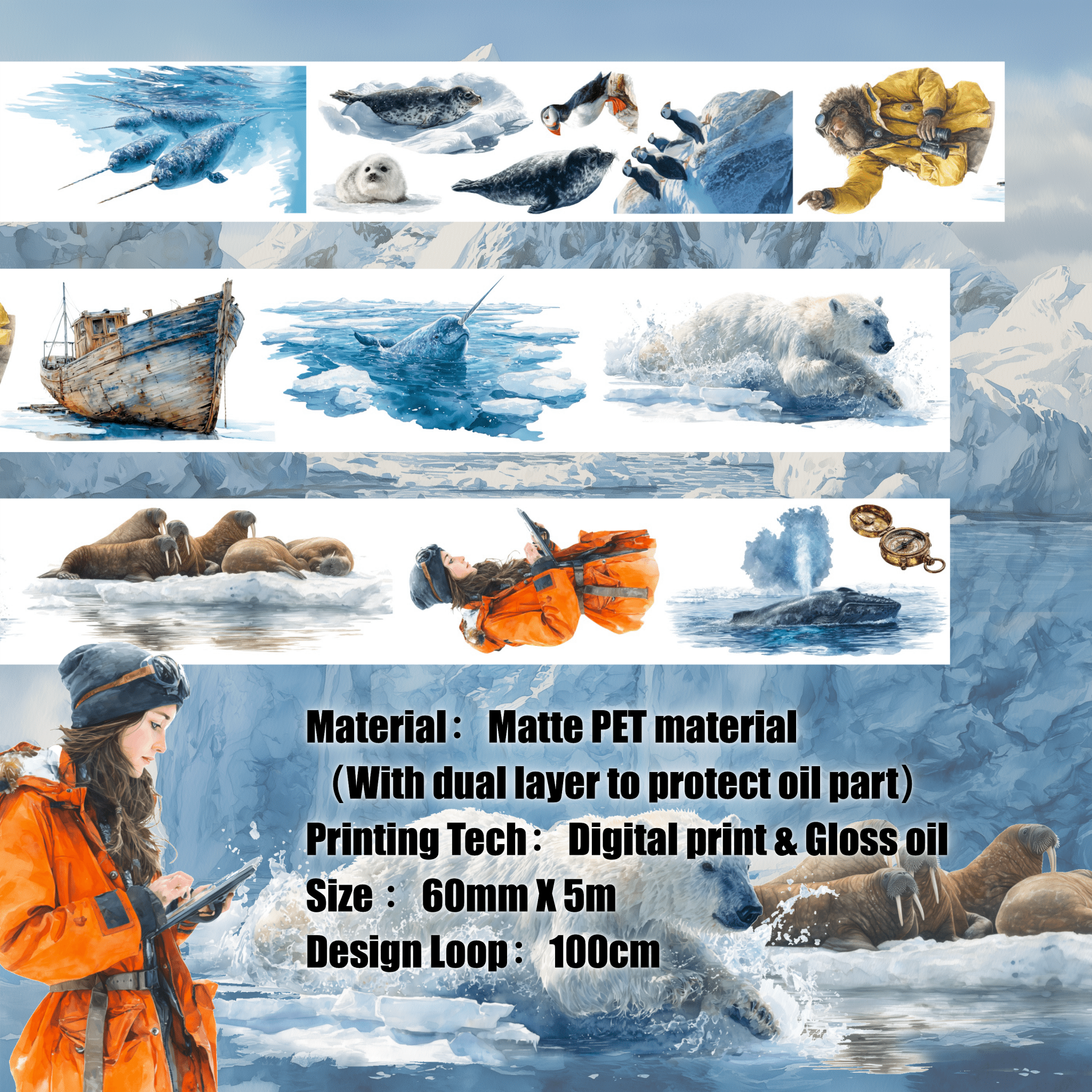 Shiimmer The North Pole Vol.2 PET Tape 6cm x 1m - ViktaShop