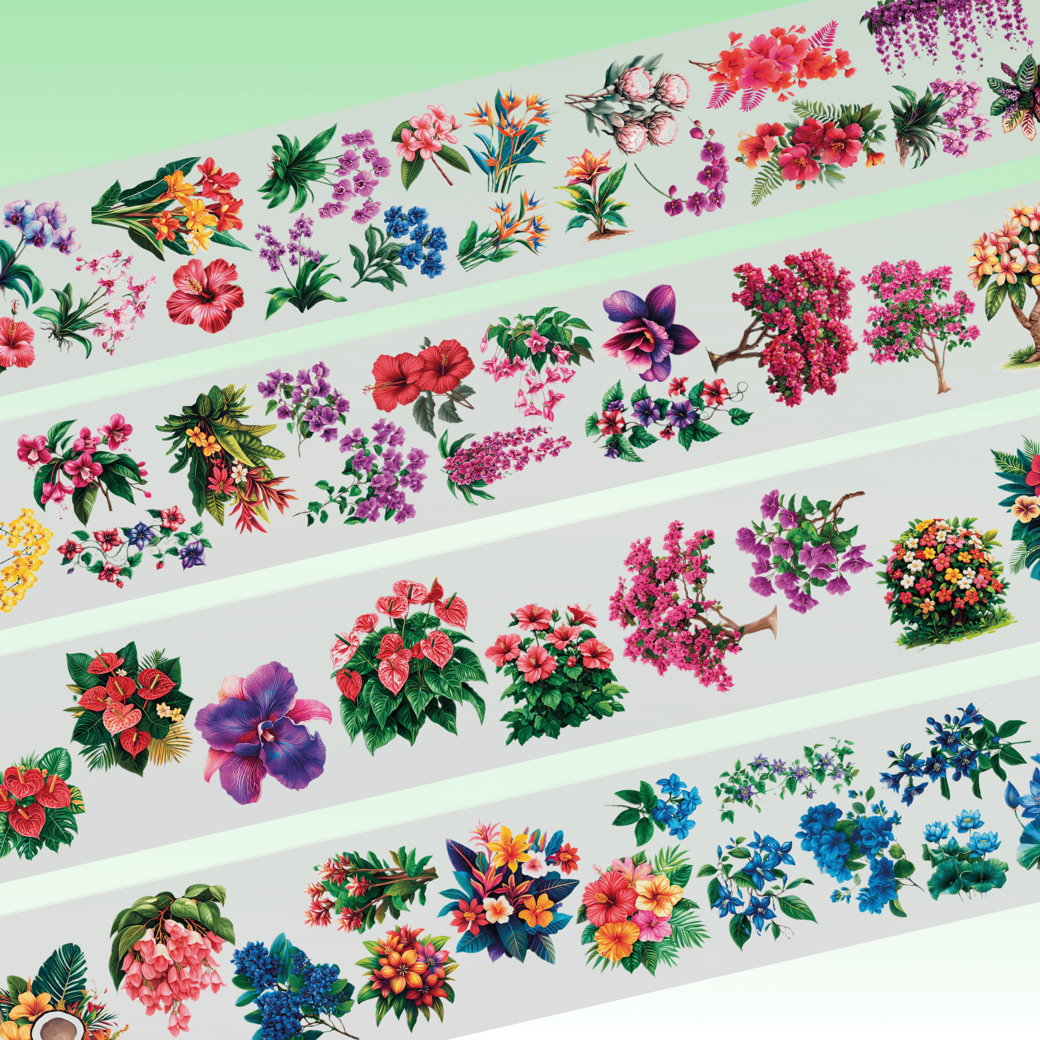 Queens Art Tropical Flowers PET tape 10cm x 2,5m
