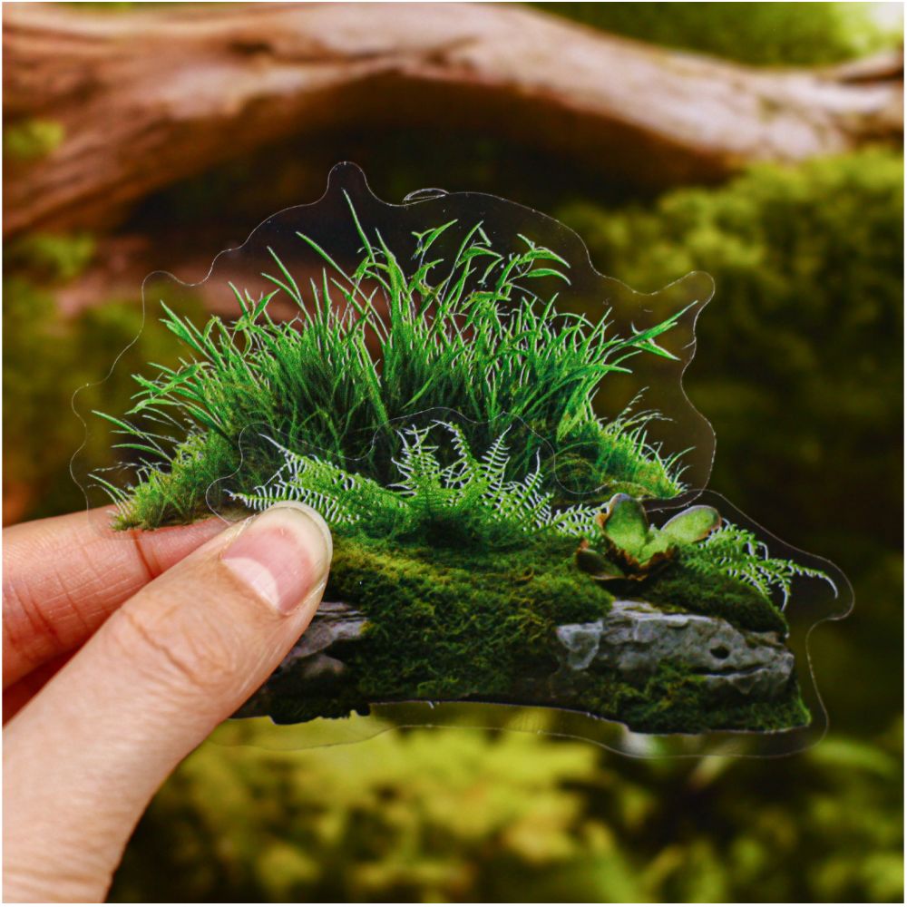 Moss Series Wood Theme PET Stickers 20 Sheets 6 Styles image 1