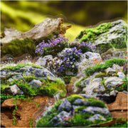 Moss Series Wood Theme PET Stickers 20 Sheets 6 Styles image 2