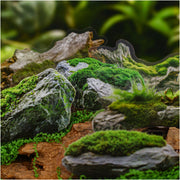 Moss Series Wood Theme PET Stickers 20 Sheets 6 Styles image 3