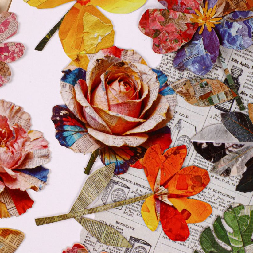 Nature Magazine Series Vintage Paper Strickers 6 Sheets 6 Designs image 0