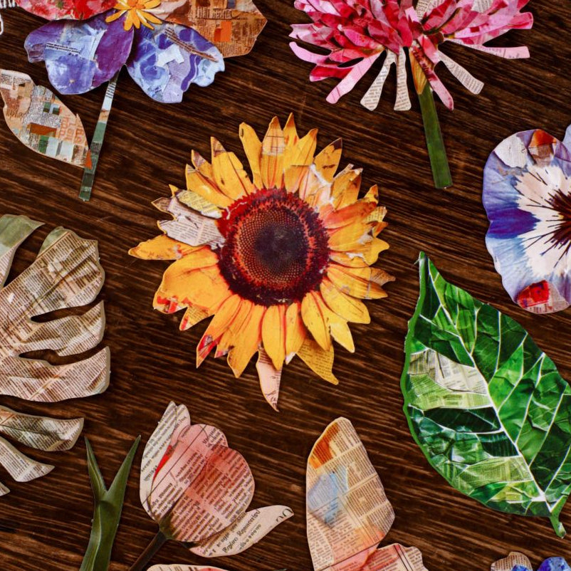 Nature Magazine Series Vintage Paper Strickers 6 Sheets 6 Designs image 1
