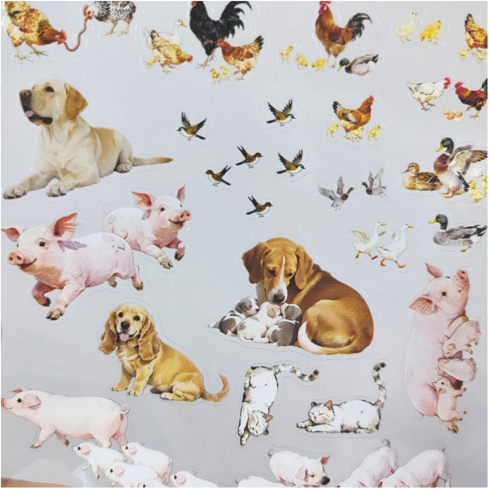 Dogs cats poultry chicks ducks pigs die cut PET stickers 1 Sheet image 3
