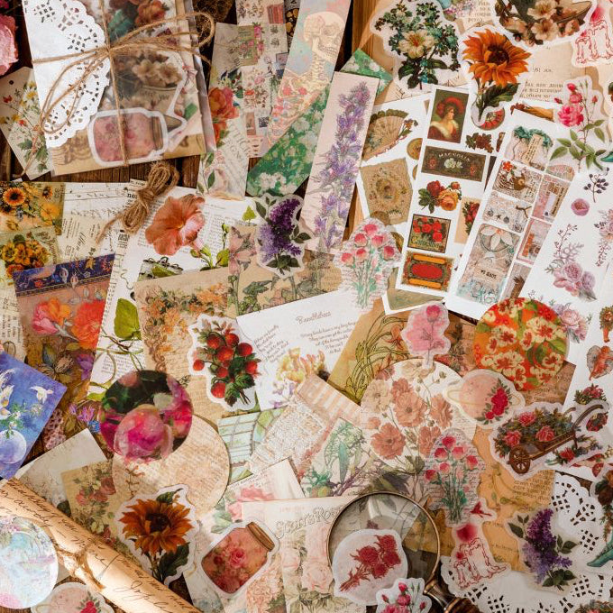 Retro Specimen Collection Paper stickers 83 Pieces 6 Designs image 2