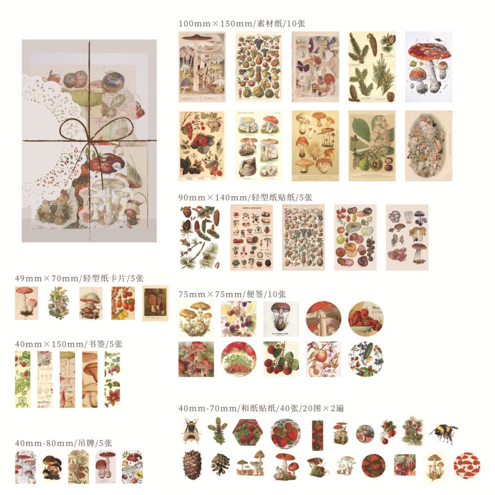 Retro Specimen Collection Paper stickers 83 Pieces 6 Designs