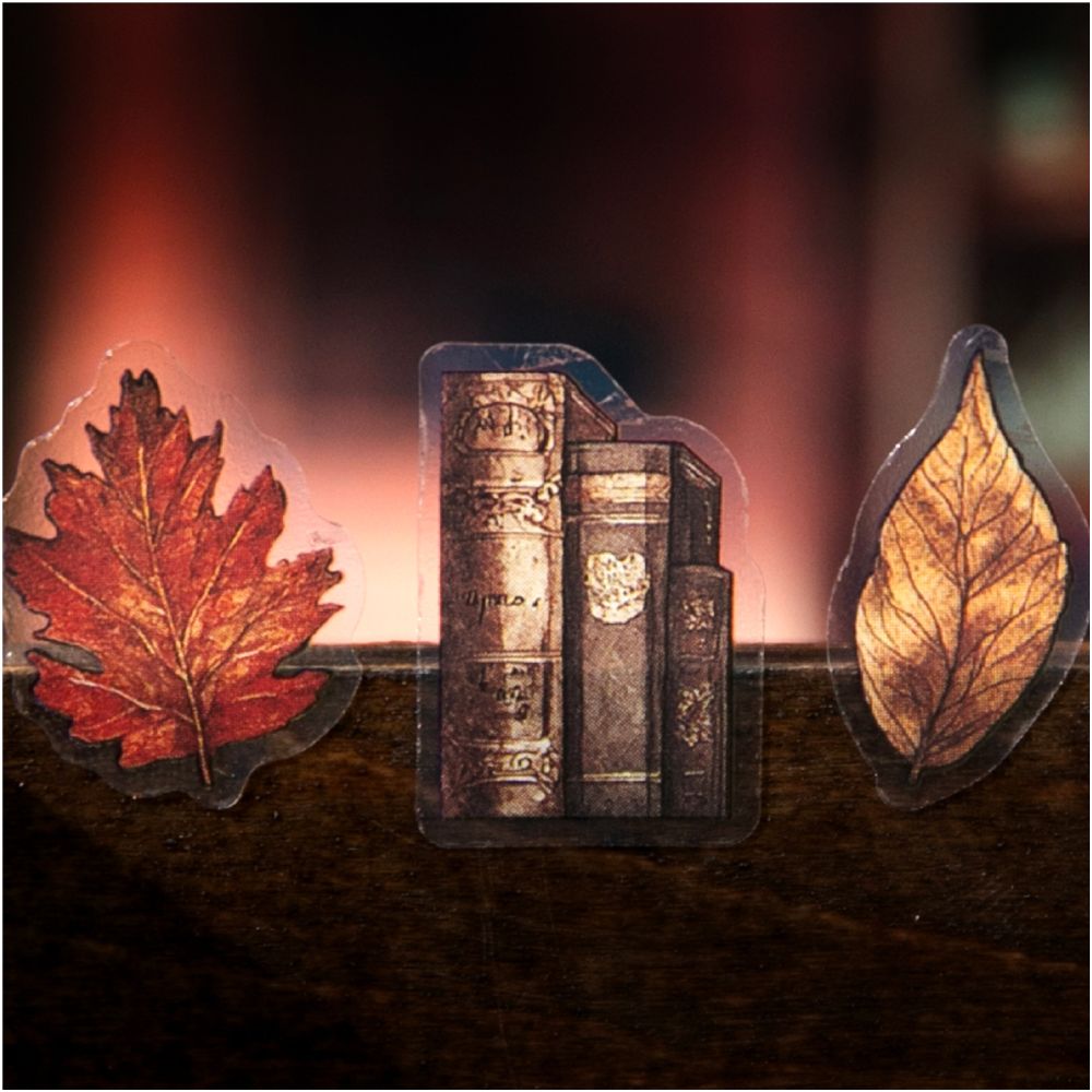 Retro Cabinet Series PET Stickers 2 sheets 4 designs image 3