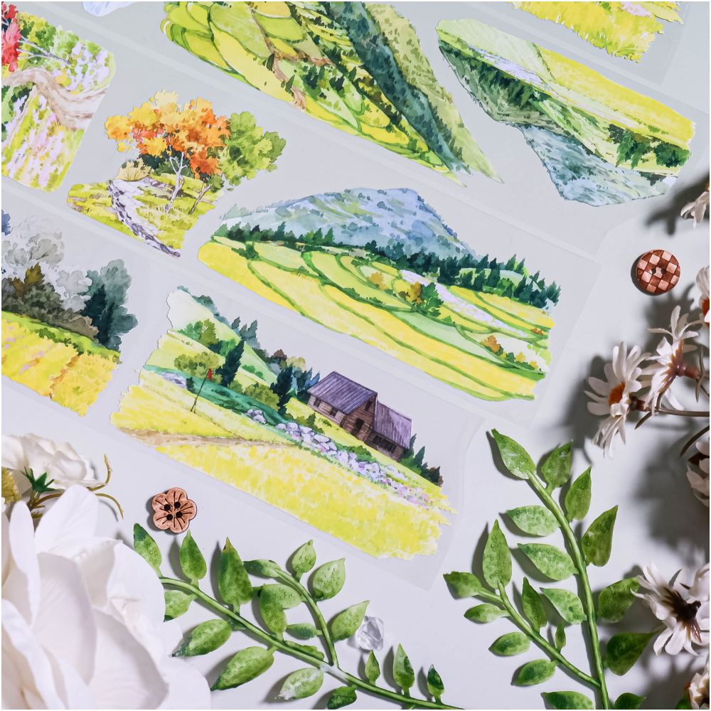 Flower Field Land PET Tape 6cm x 1m image 2