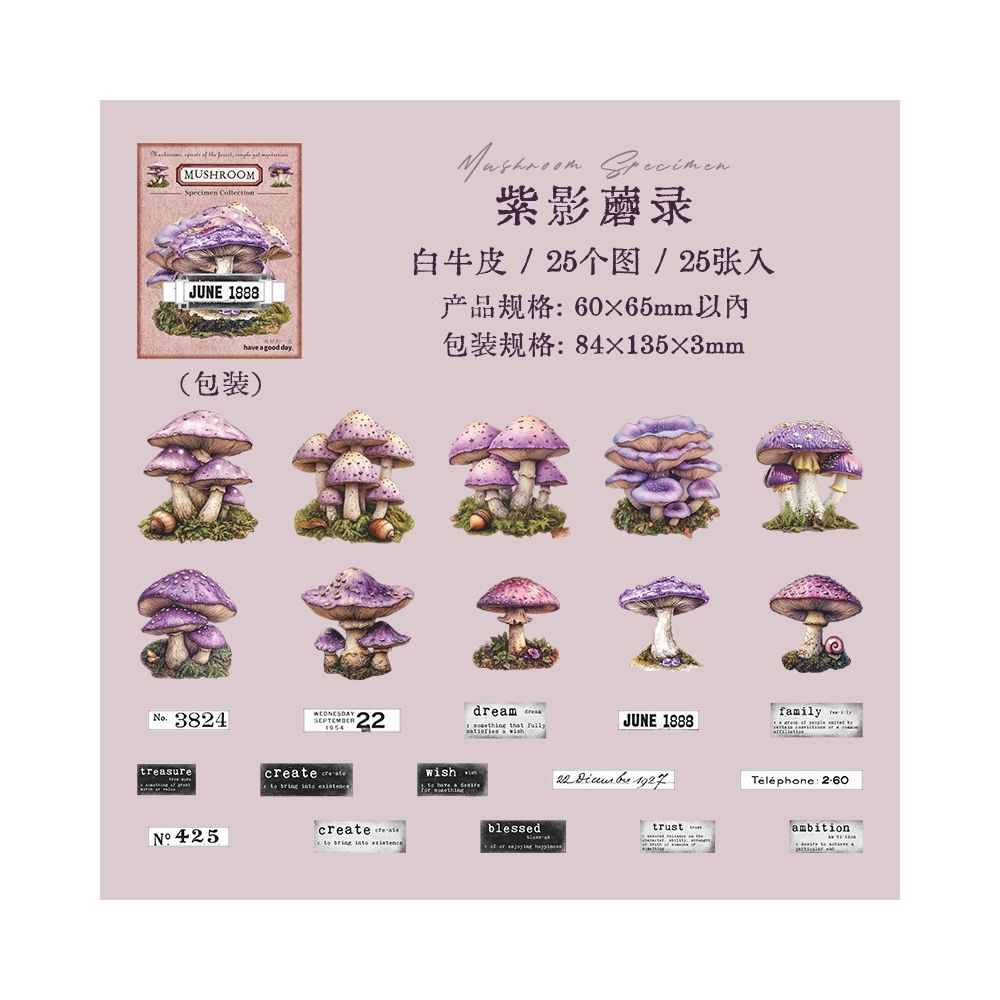 Mushroom Specimen Collection Paper Stickers 25 psc 6 Designs