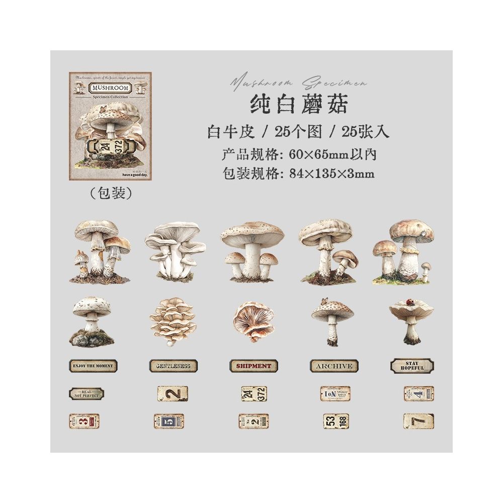 Mushroom Specimen Collection Paper Stickers 25 psc 6 Designs