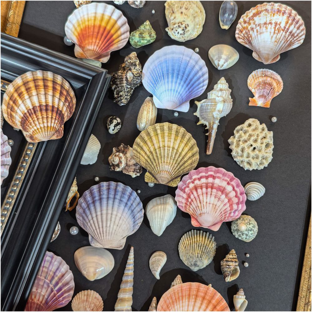 Seashell Series Hard Card Stickers 16 sheets 6 designs image 1