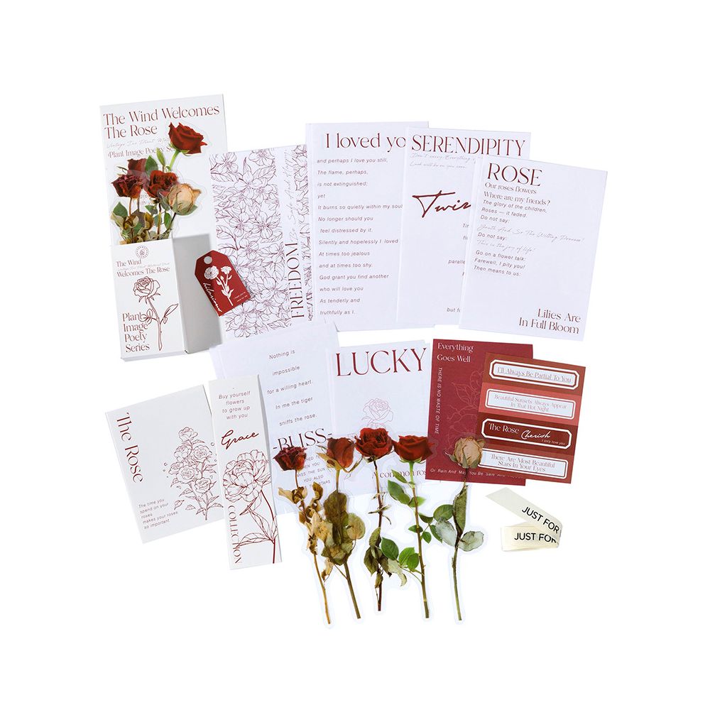 Plant Series Paper and PET Stickers pack 6 Styles