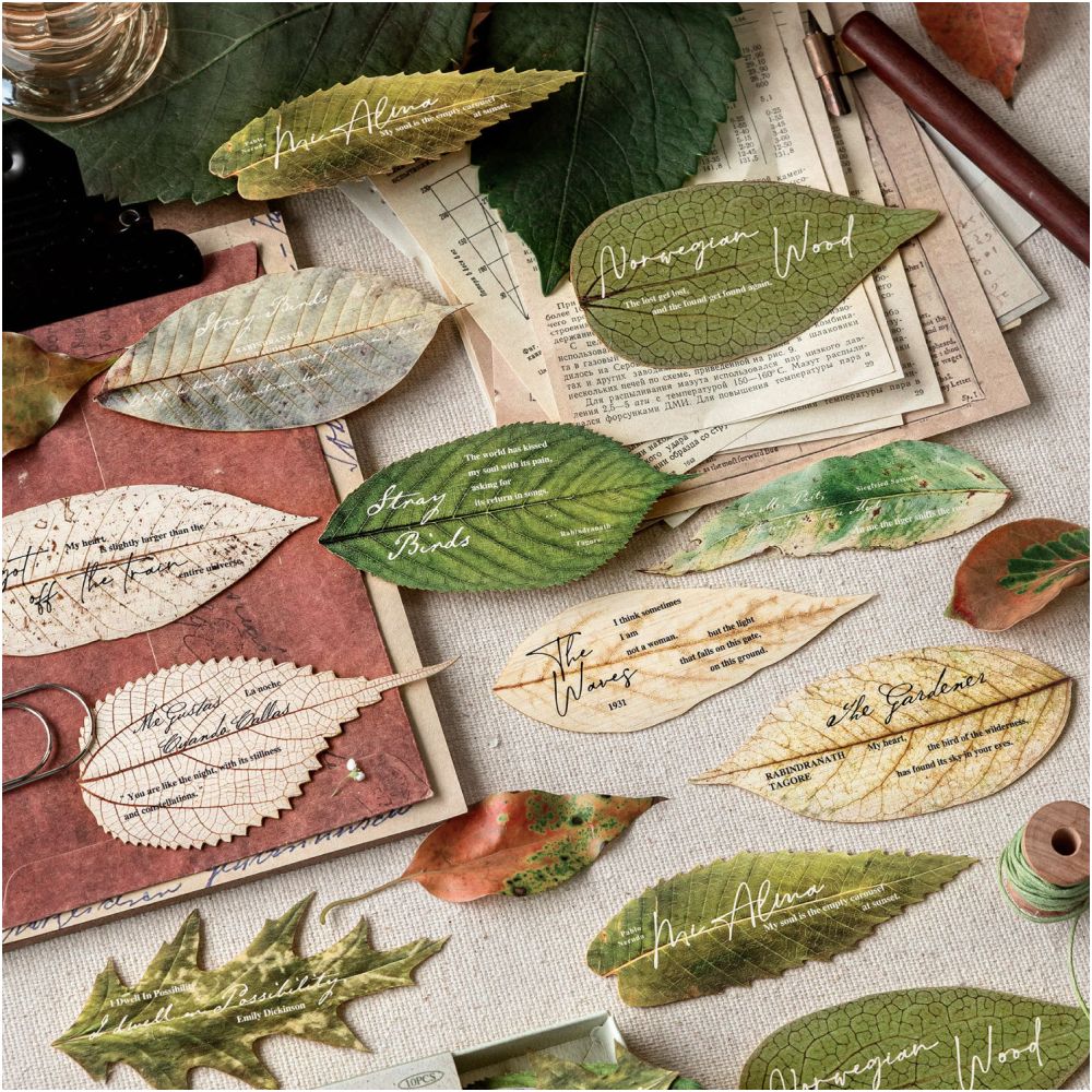 Forest Whispers Series Paper Box 10 Psc 4 Designs image 0