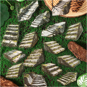 Forest Stone Series PET Stickers 15 Psc 6 Styles image 2