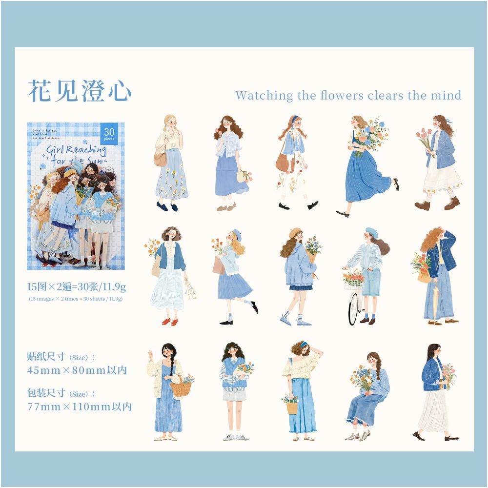 Sunflower Series Character PET Stickers 30 psc 6 Styles