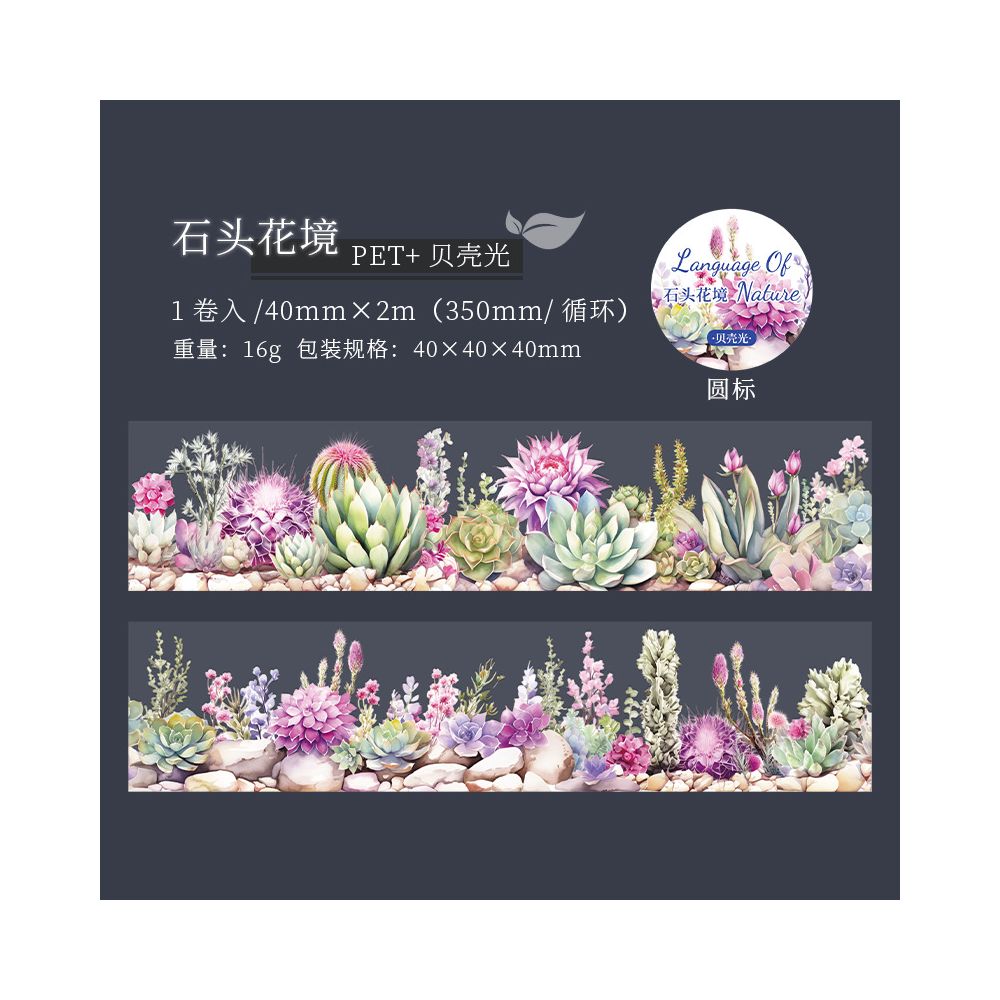 Succulent Plant Series PET Tape 4cm x 2m 6 variants