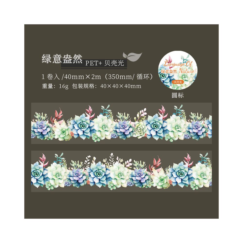 Succulent Plant Series PET Tape 4cm x 2m 6 variants