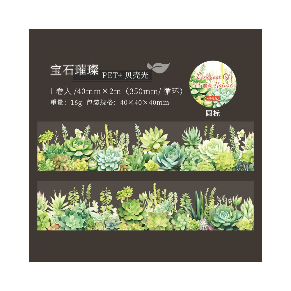 Succulent Plant Series PET Tape 4cm x 2m 6 variants