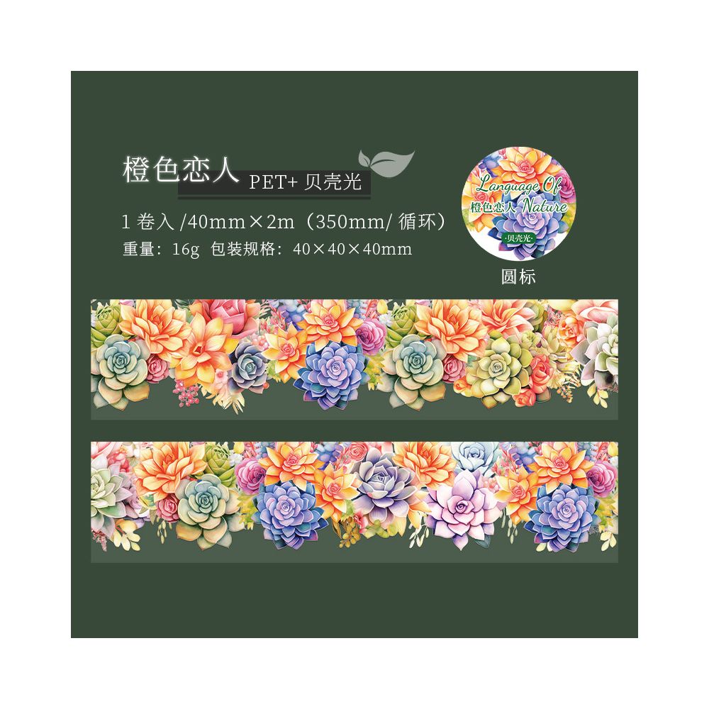 Succulent Plant Series PET Tape 4cm x 2m 6 variants