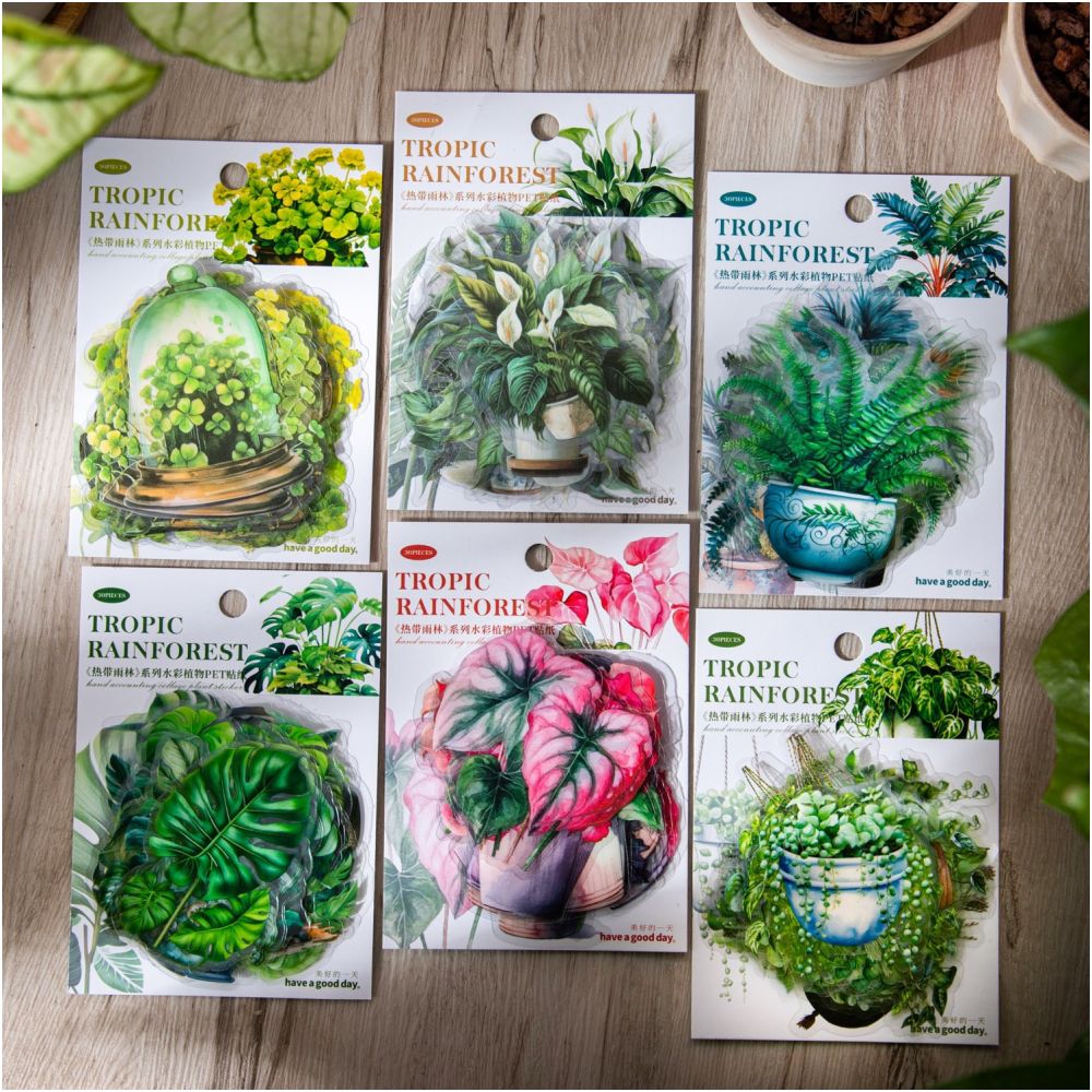 Tropical Plant Series PET Stickers 30 sheets 5 variants image 0