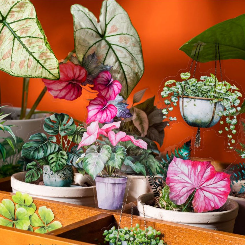 Tropical Plant Series PET Stickers 30 sheets 5 variants image 1