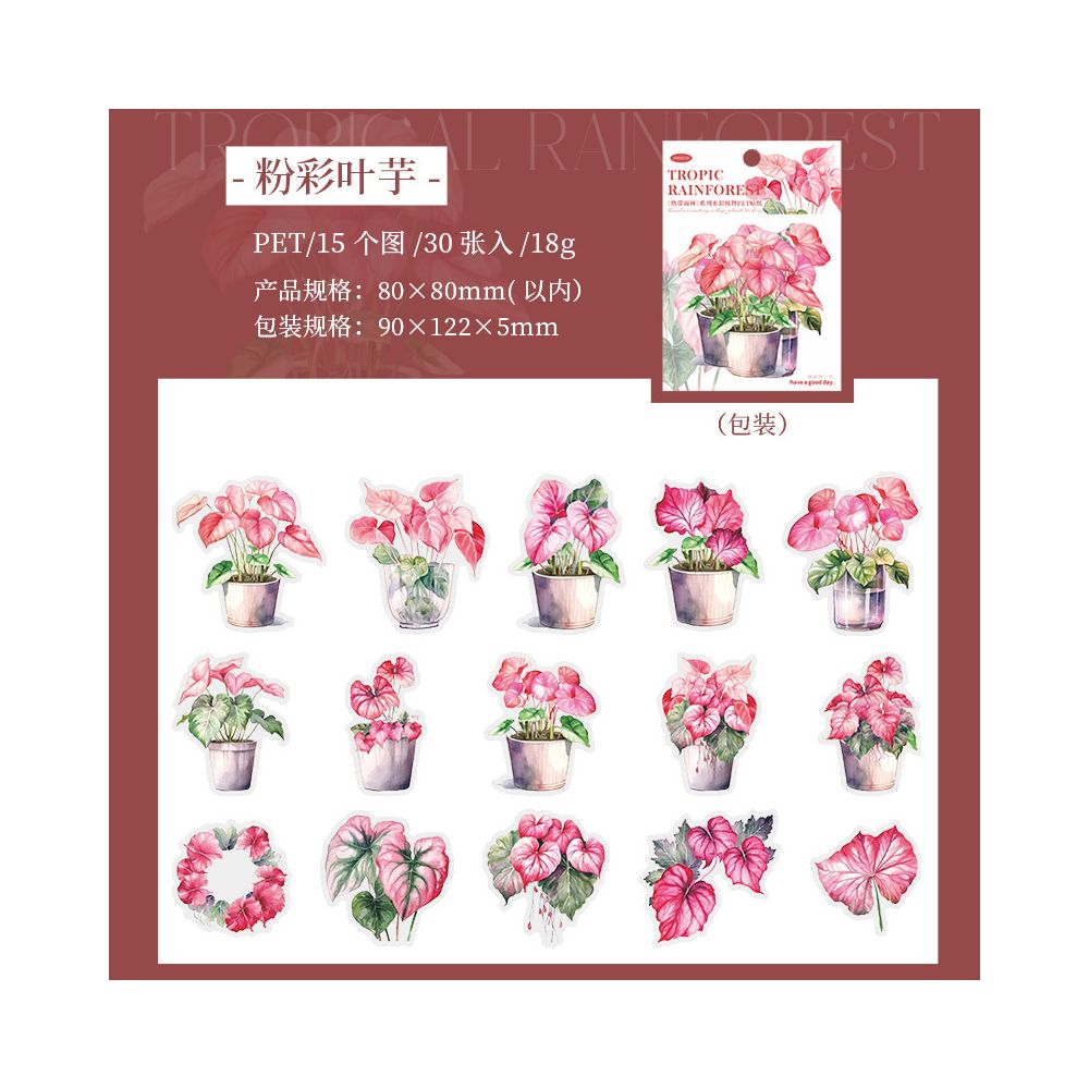 Tropical Plant Series PET Stickers 30 sheets 5 variants