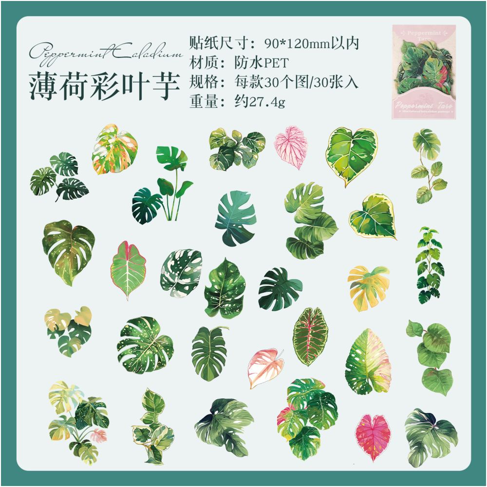 Summer Rainforest Series Plant PET Stickers 30 Sheets 6 Designs
