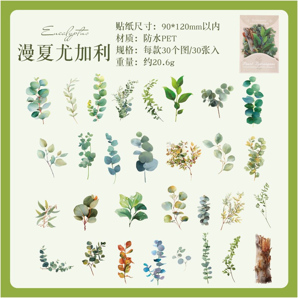 Summer Rainforest Series Plant PET Stickers 30 Sheets 6 Designs