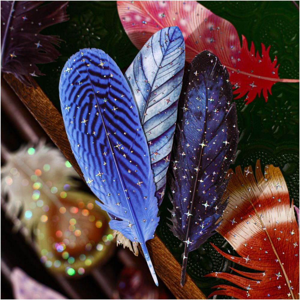 Feather Series Paper Stickers 10 psc 6 designs image 1