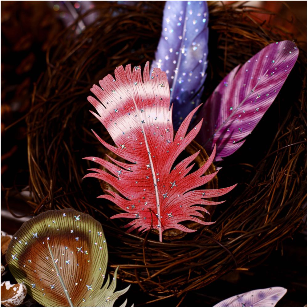 Feather Series Paper Stickers 10 psc 6 designs image 2
