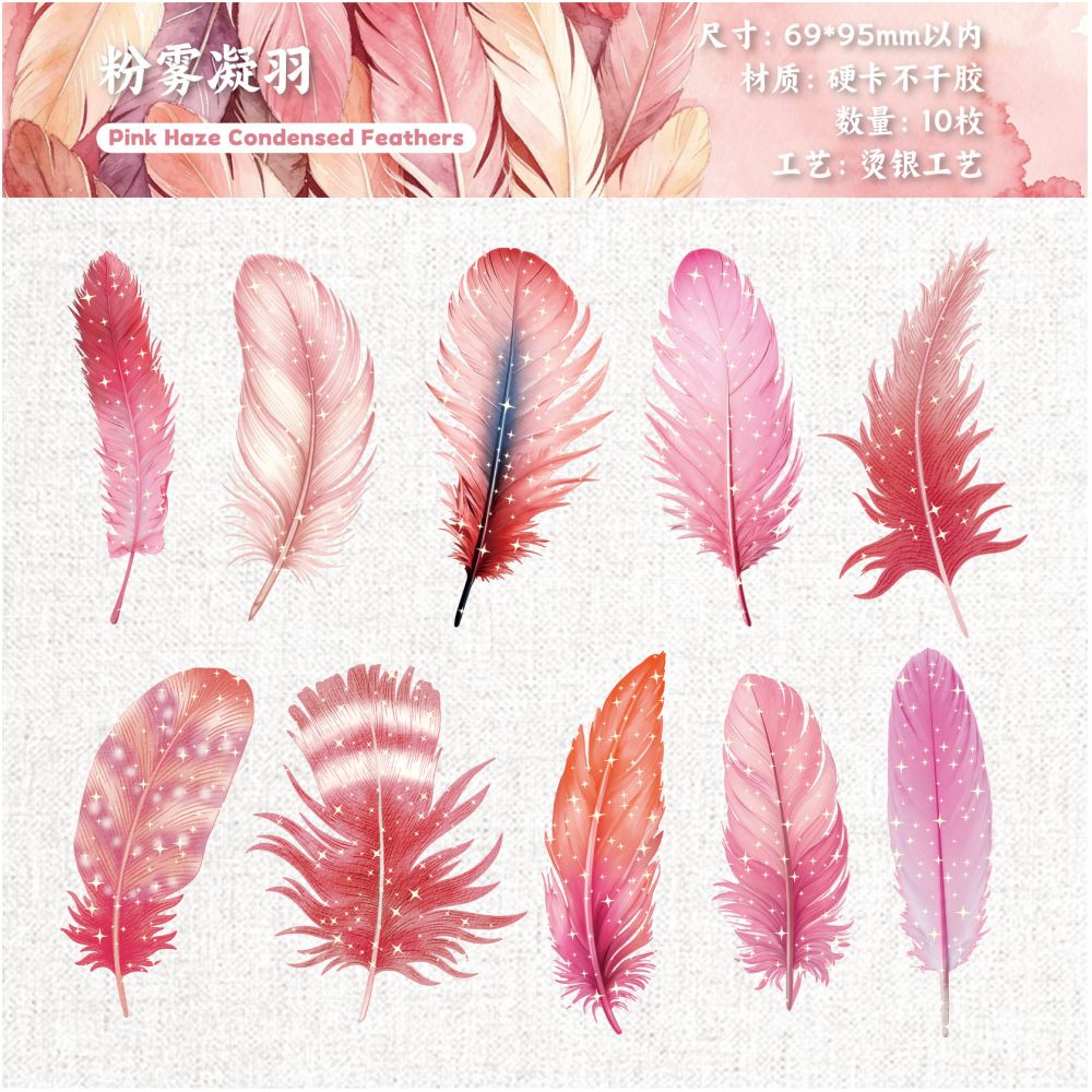 Feather Series Paper Stickers 10 psc 6 designs