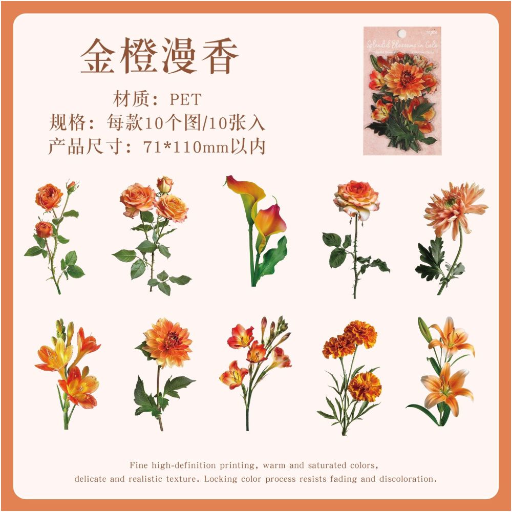 Floral Forest Series PET Stickers 10 Psc 6 variants