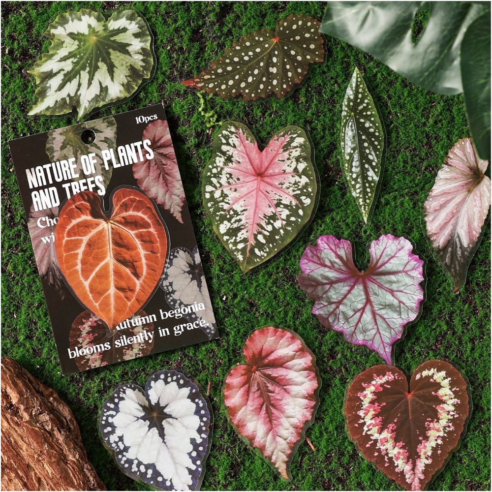 Natural Plant Series PET Stickers 10 Sheets 6 Designs image 3