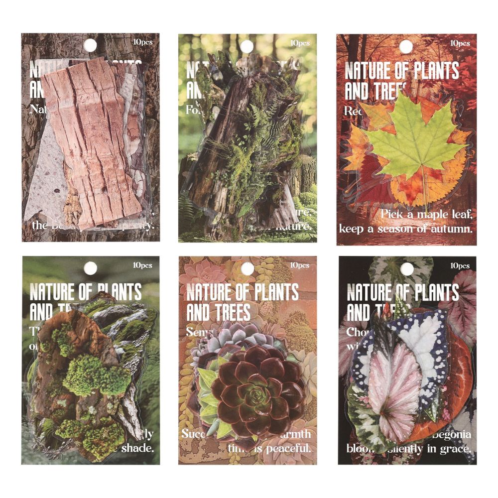 Natural Plant Series PET Stickers 10 Sheets 6 Designs image 4