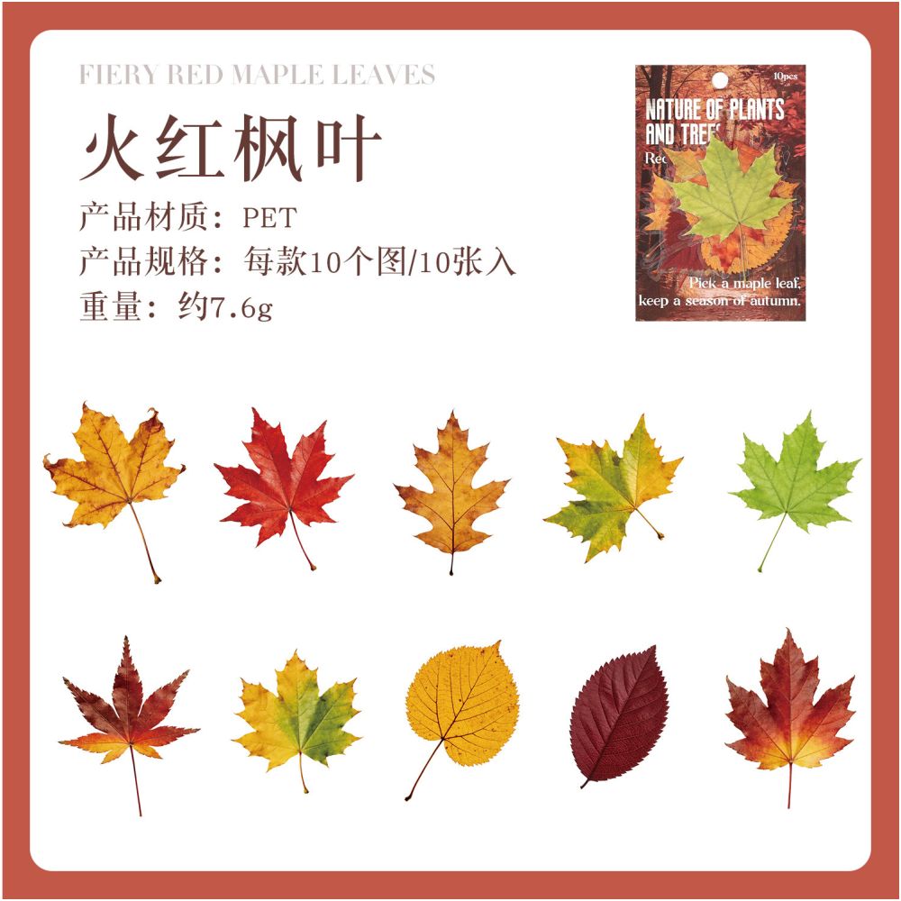 Natural Plant Series PET Stickers 10 Sheets 6 Designs