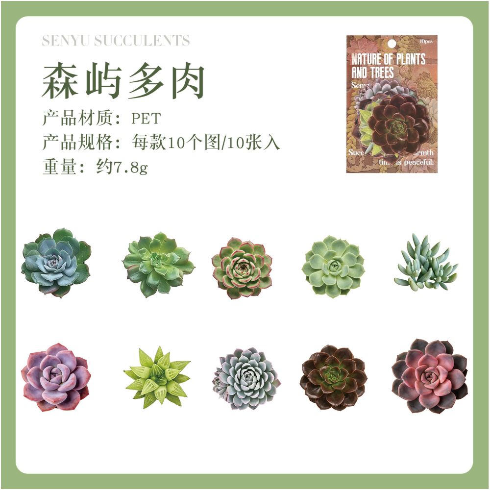Natural Plant Series PET Stickers 10 Sheets 6 Designs
