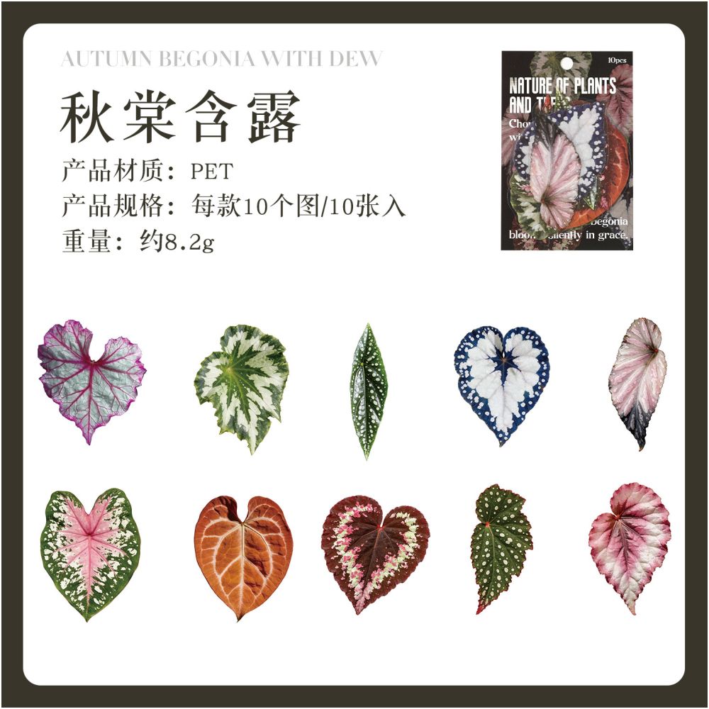Natural Plant Series PET Stickers 10 Sheets 6 Designs