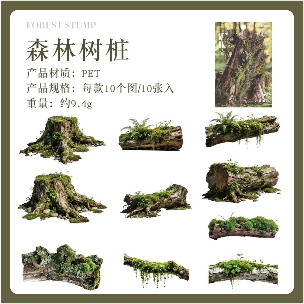 Natural Plant Series PET Stickers 10 Sheets 6 Designs