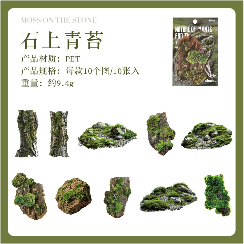 Natural Plant Series PET Stickers 10 Sheets 6 Designs