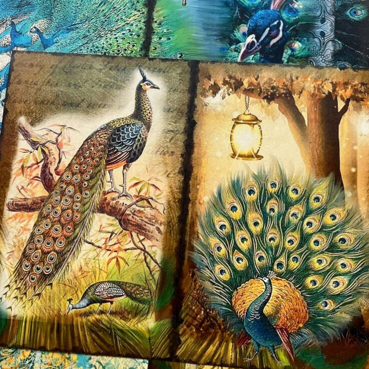 Peacock Forest Baroque Collage Material Paper 13cm x 18 cm 10 Sheets image 3