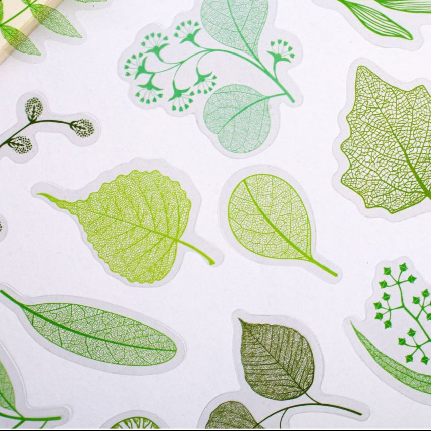 Leaf Series PET Stickers 20 sheets 6 designs image 2