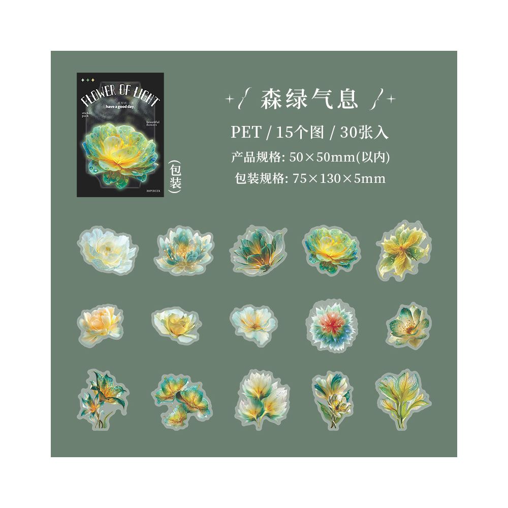 Translucent Flower Series PET Stickers 30 sheets 6 designs