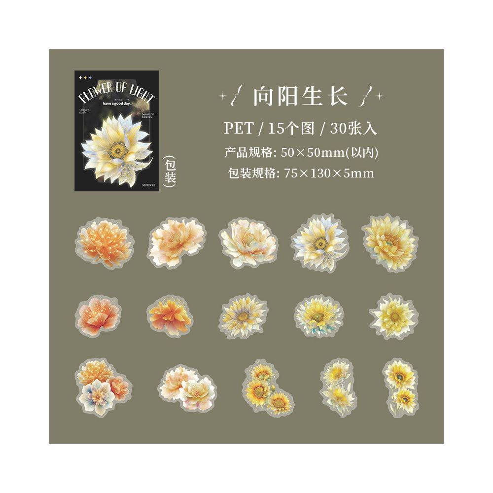 Translucent Flower Series PET Stickers 30 sheets 6 designs