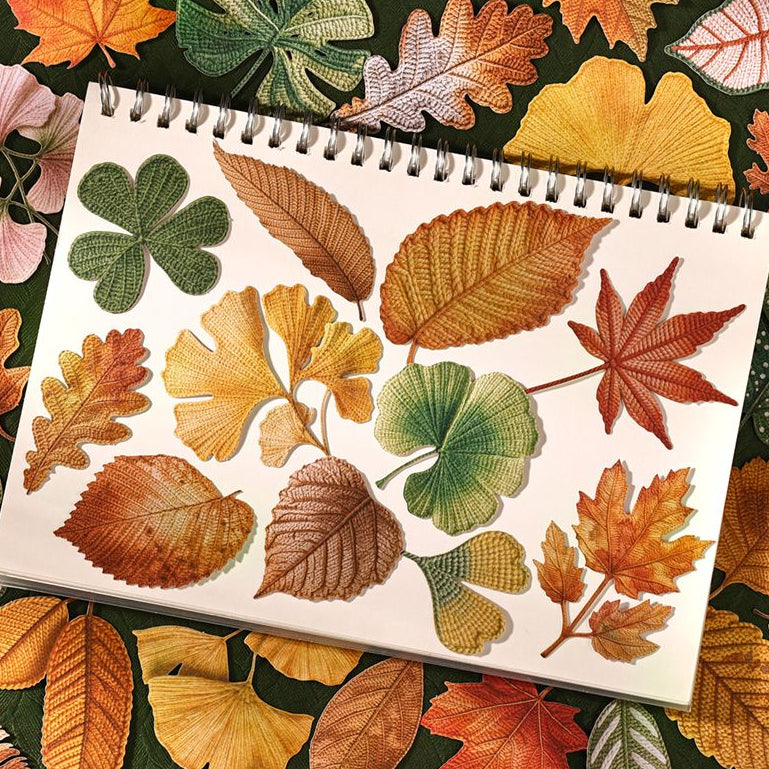 Autumn Leaf Series Paper Stickers 6 Designs 20 Pcs image 2