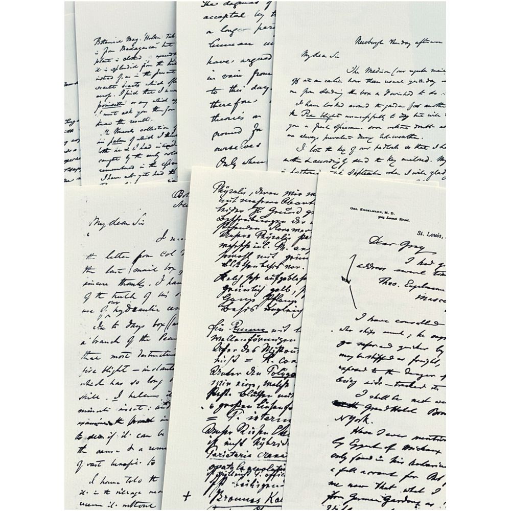 Junk Journal Vintage Handwritten English Letter Background Material Paper 14 Sheets A5 image 4