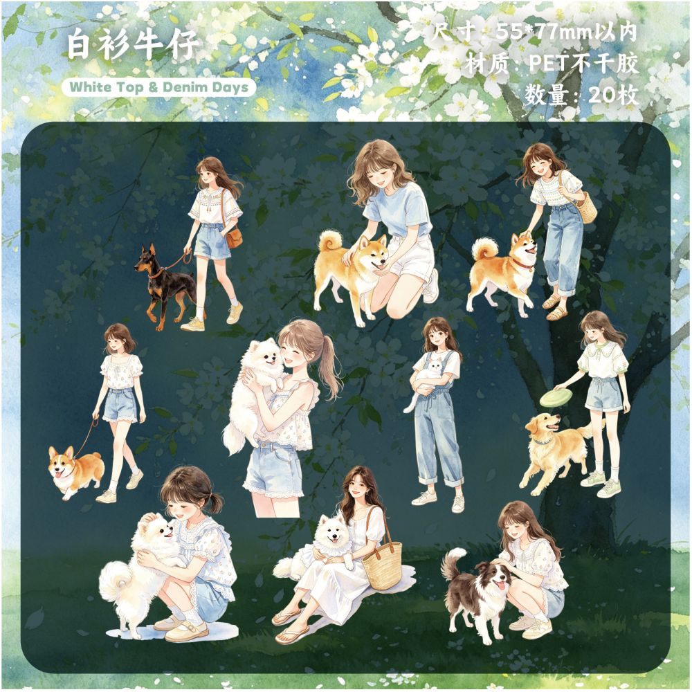 Exquisite Character Series PET Stickers 20 pieces