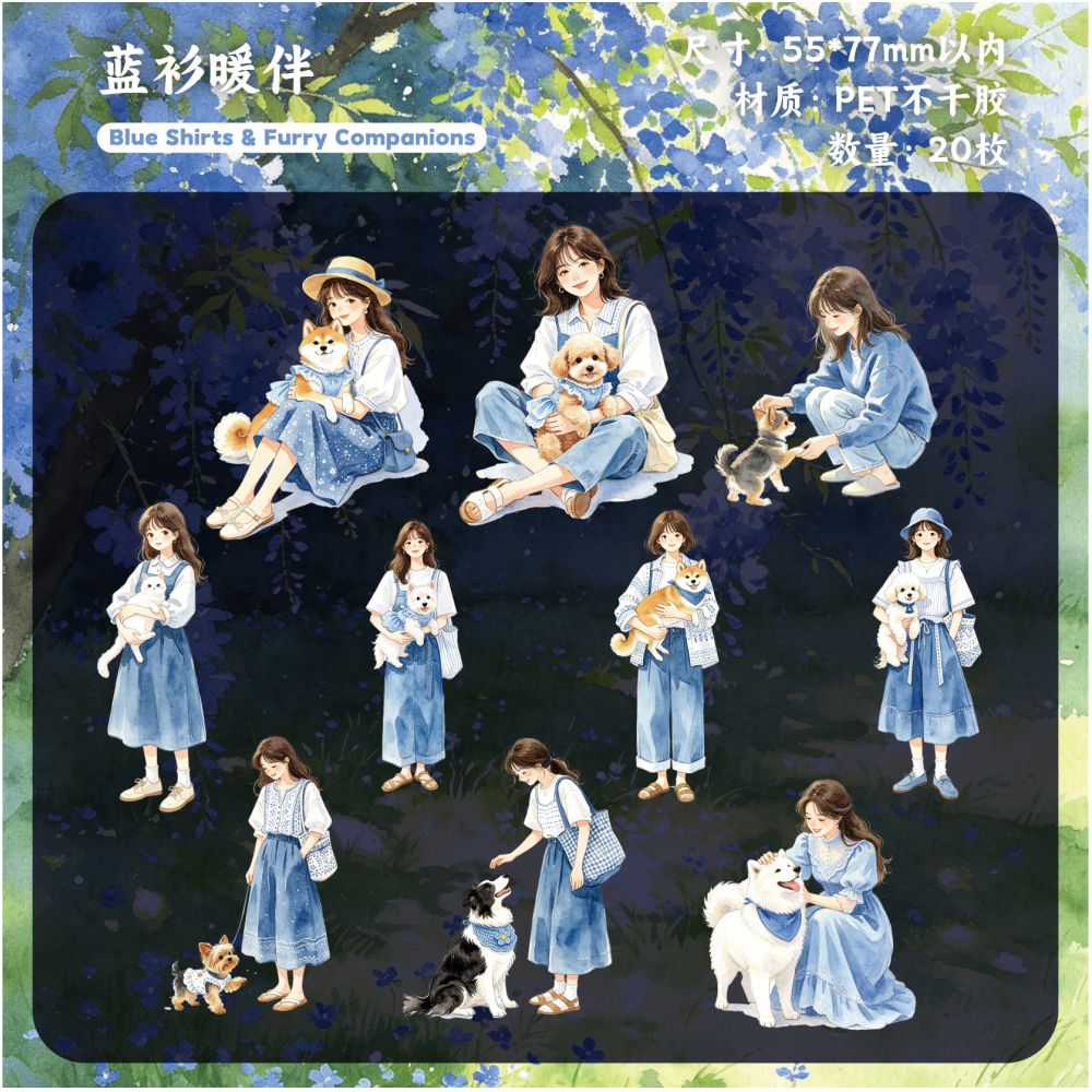 Exquisite Character Series PET Stickers 20 pieces